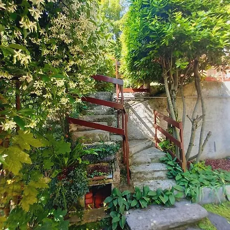 Apartment Large With Garden